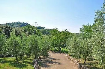 Apartment Assuntini Hotel San Gimignano