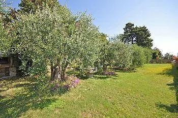 Assuntini Hotel San Gimignano 0*,